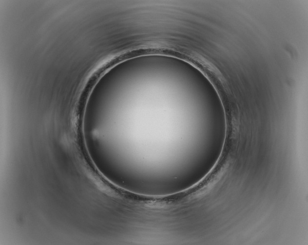 X0000113611029200909181415