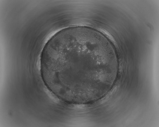 X0000113611031200909181415