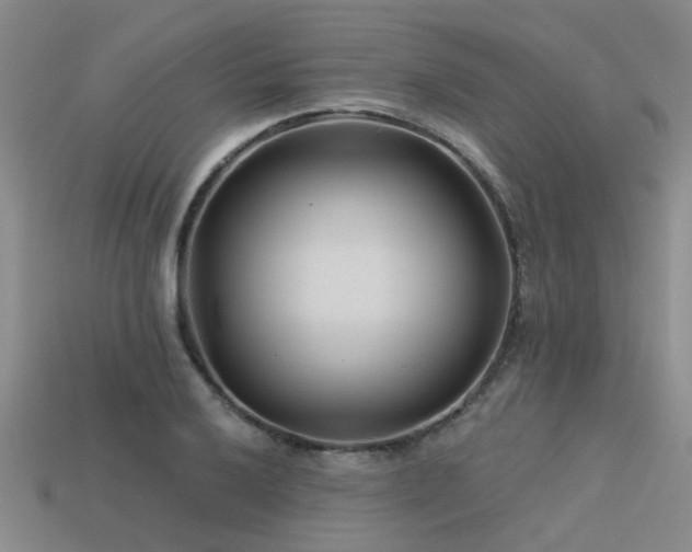 X0000113611032200909181415