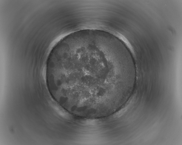 X0000113611035200909181415