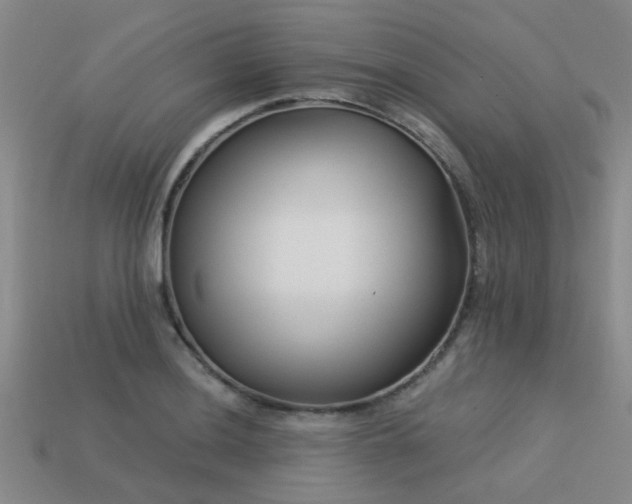 X0000113611036200909181415