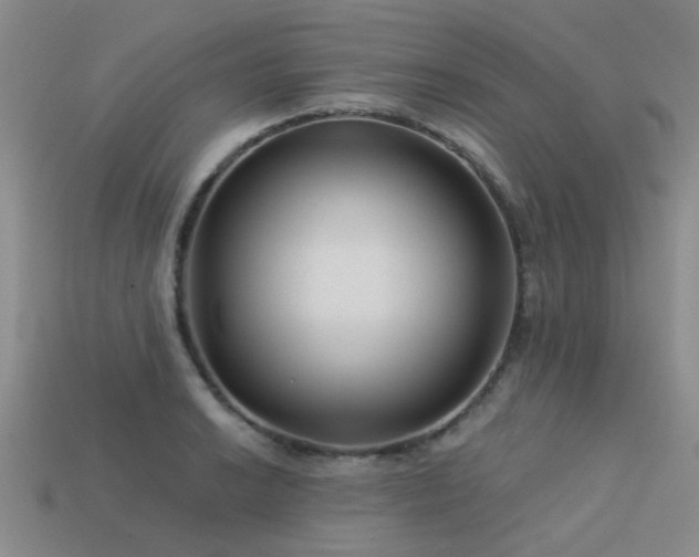 X0000113611038200909181415