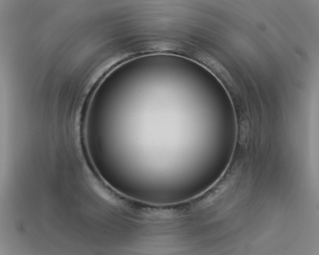 X0000113611039200909181415