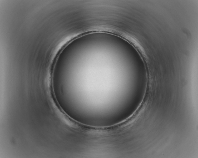 X0000113611040200909181415