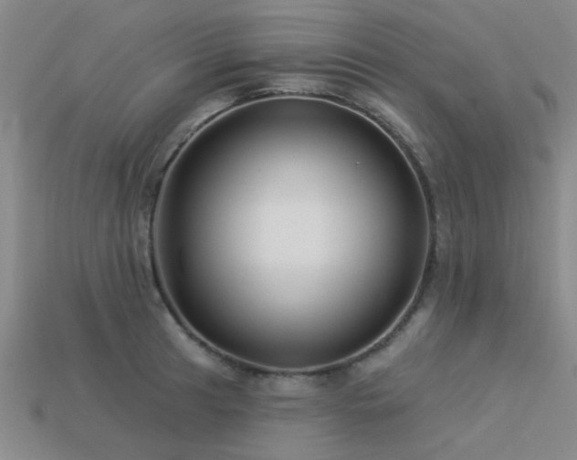 X0000113611041200909181415