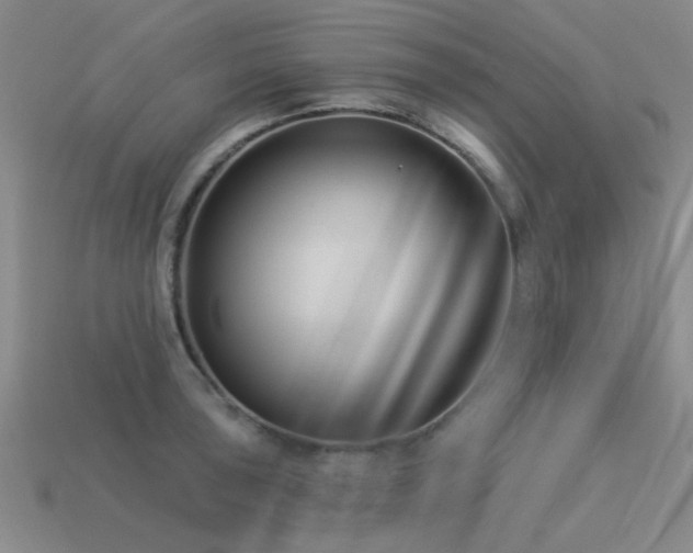 X0000113611043200909181415