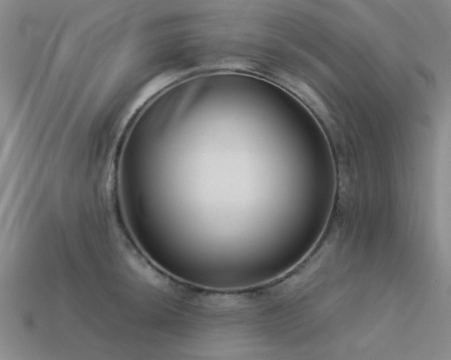 X0000113611044200909181415