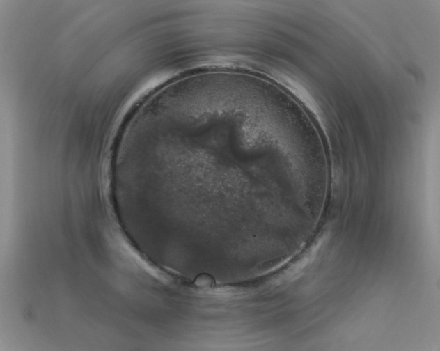 X0000113611045200909181415