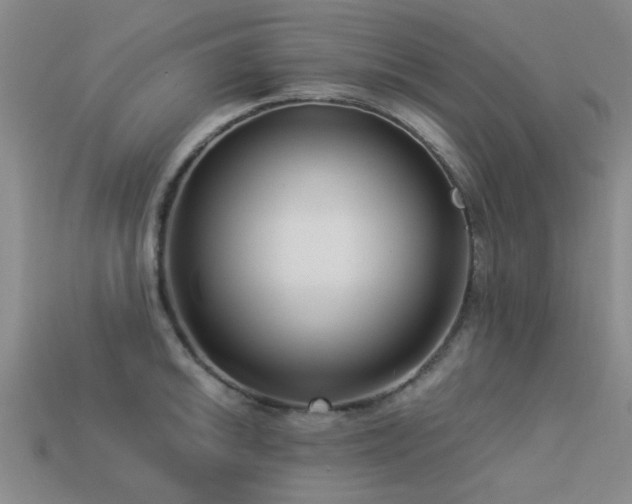 X0000113611046200909181415