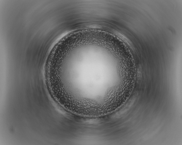 X0000113611047200909181415