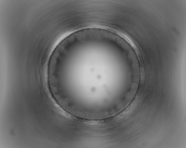 X0000113611048200909181415