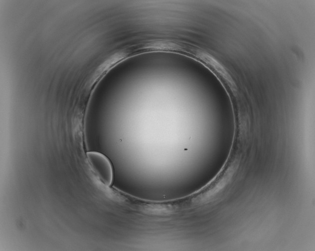 X0000113611049200909181415