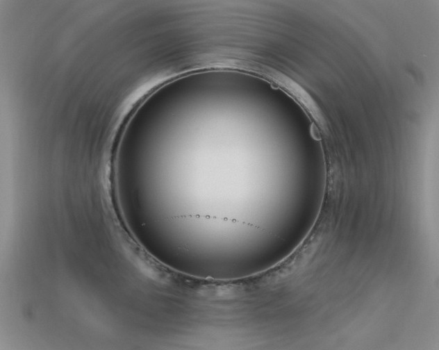 X0000113611051200909181415