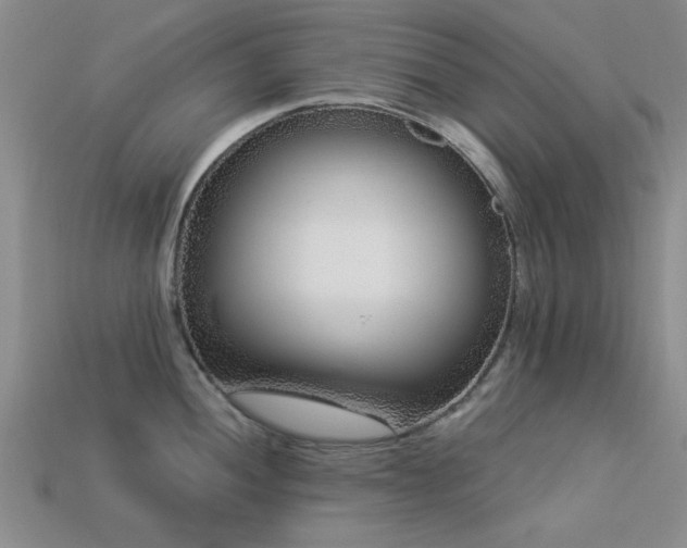 X0000113611052200909181415