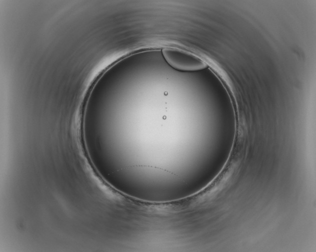 X0000113611053200909181415