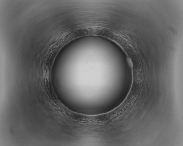 X0000113611061200909181414