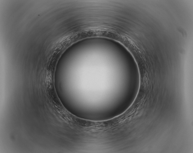 X0000113611062200909181414