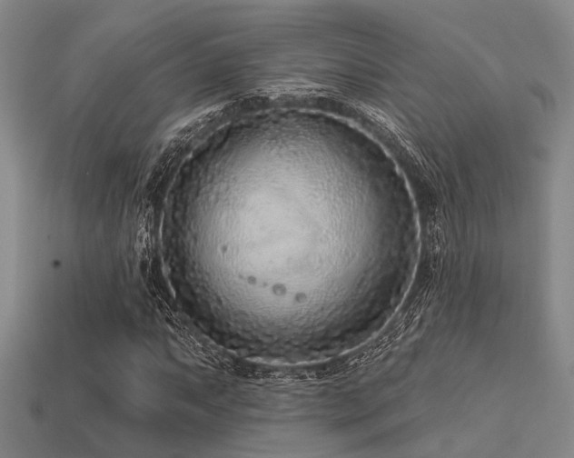 X0000113611063200909181414