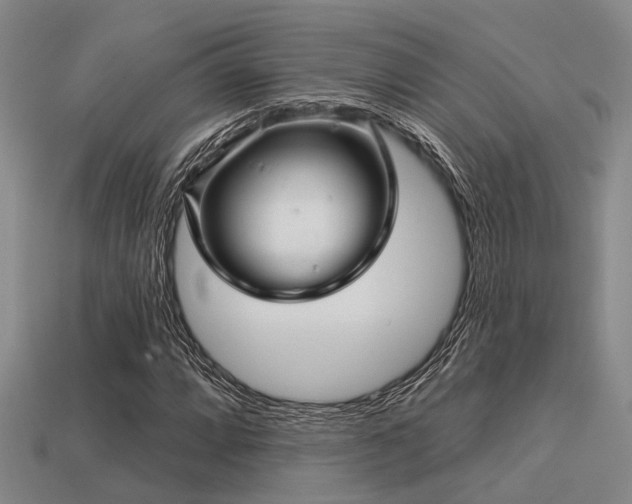 X0000113611064200909181414