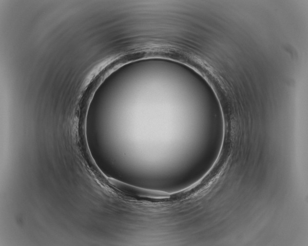 X0000113611066200909181414