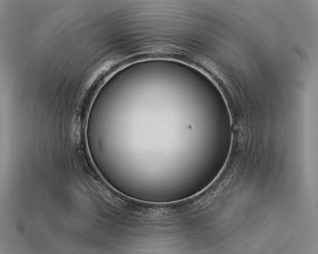 X0000113611067200909181414