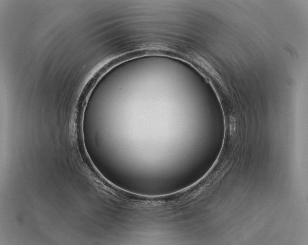 X0000113611068200909181414