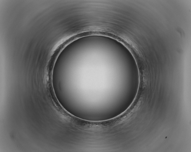 X0000113611070200909181414