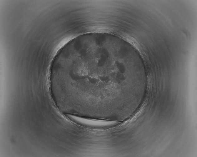 X0000113611071200909181414