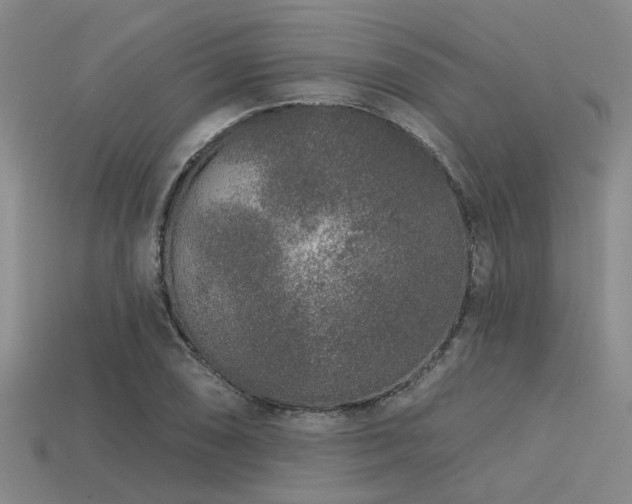 X0000113611074200909181414
