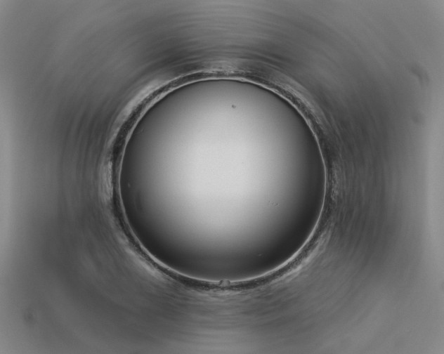 X0000113611075200909181414
