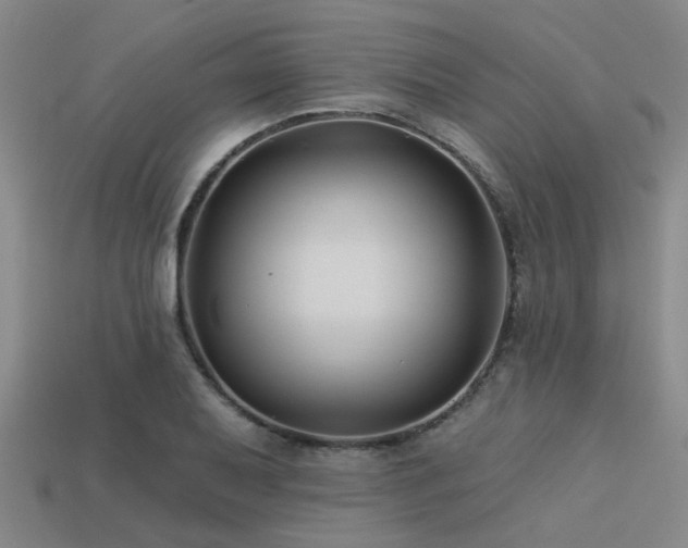 X0000113611079200909181414