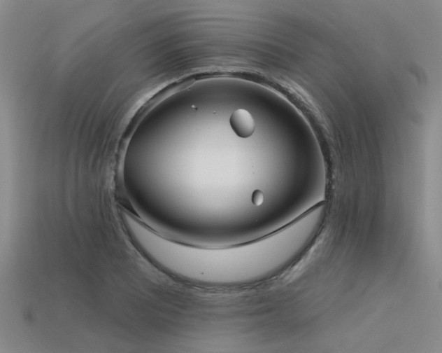 X0000113611081200909181414