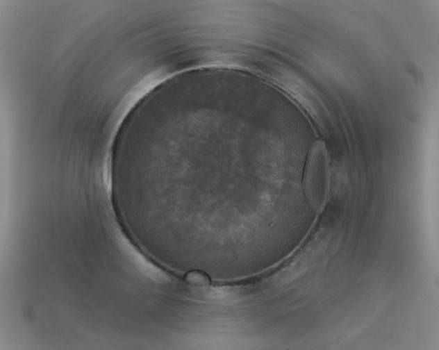 X0000113611084200909181414