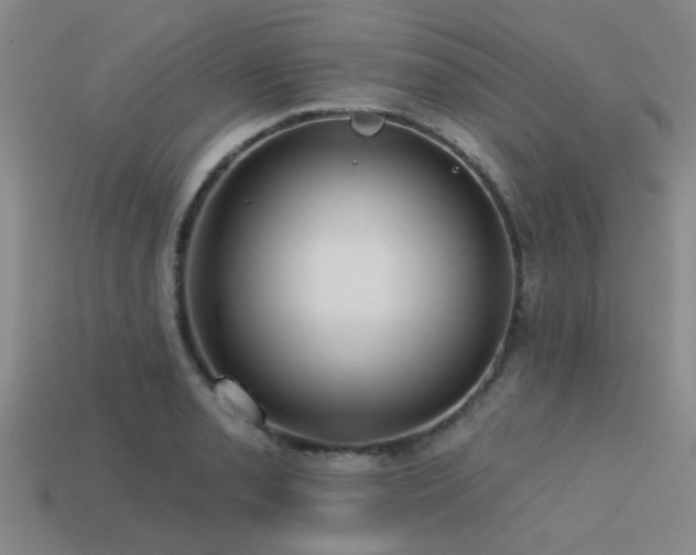 X0000113611085200909181414
