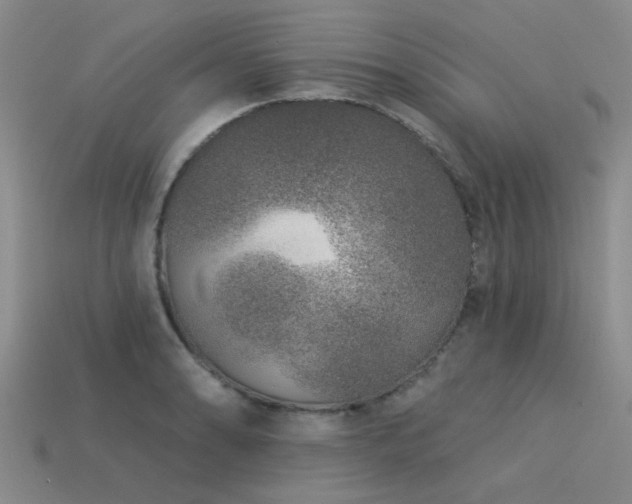 X0000113611086200909181414