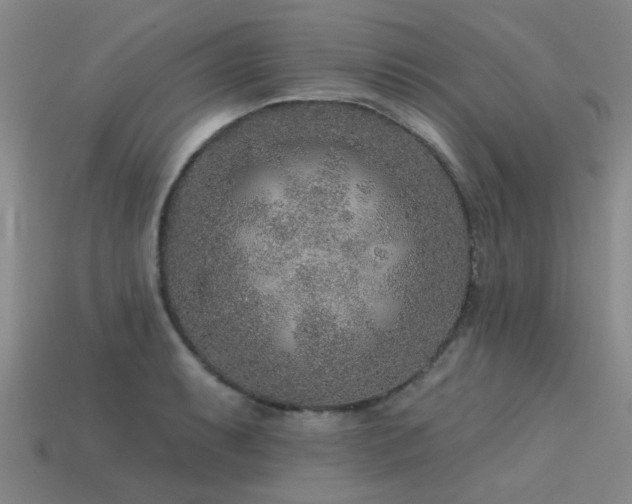 X0000113611087200909181414