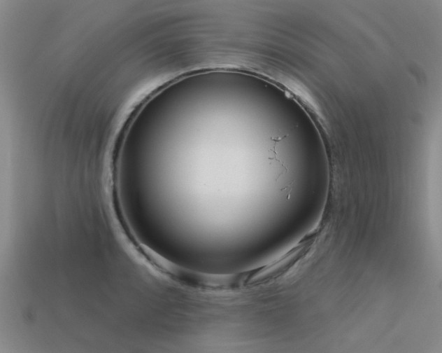 X0000113611088200909181414