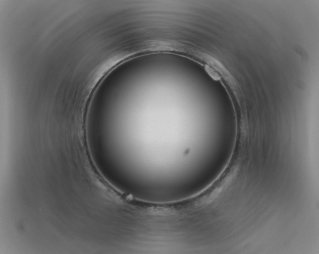 X0000113611089200909181414