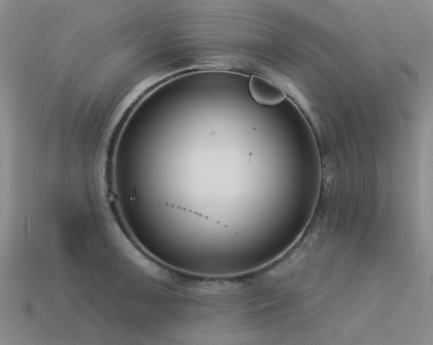 X0000113611091200909181414