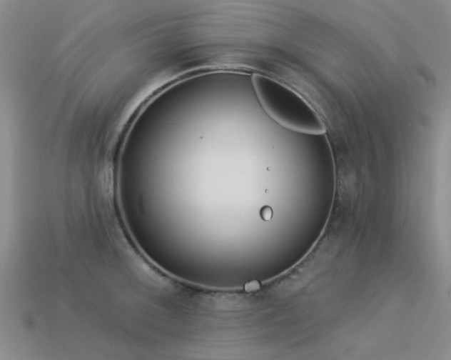 X0000113611092200909181414