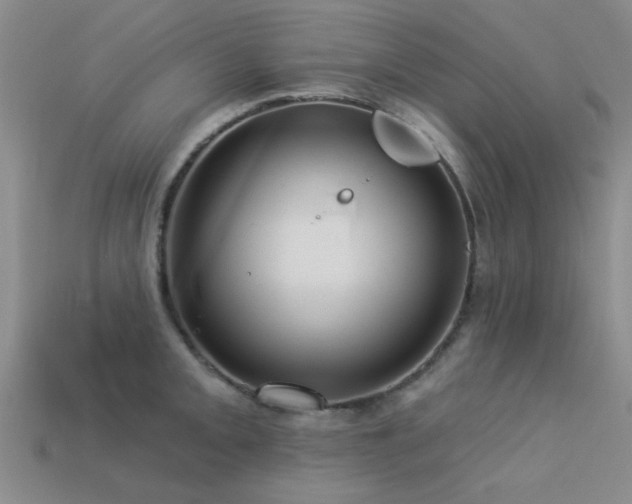 X0000113611093200909181414