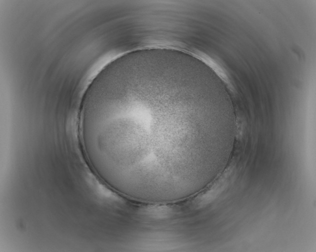 X0000113611094200909181414