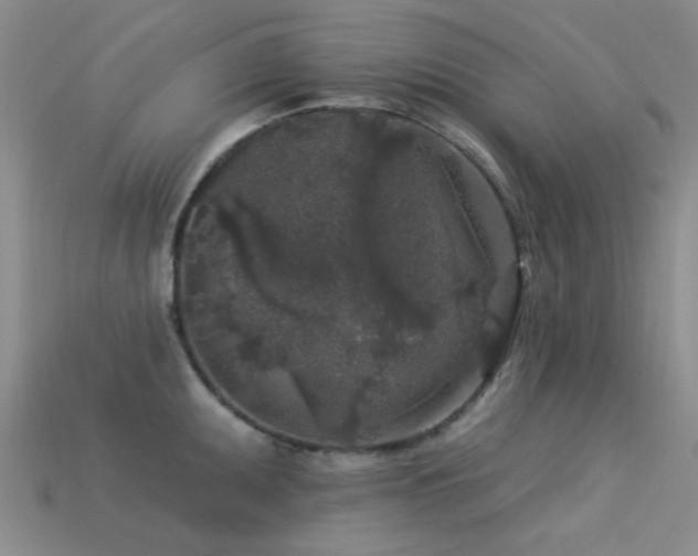X0000113611095200909181414