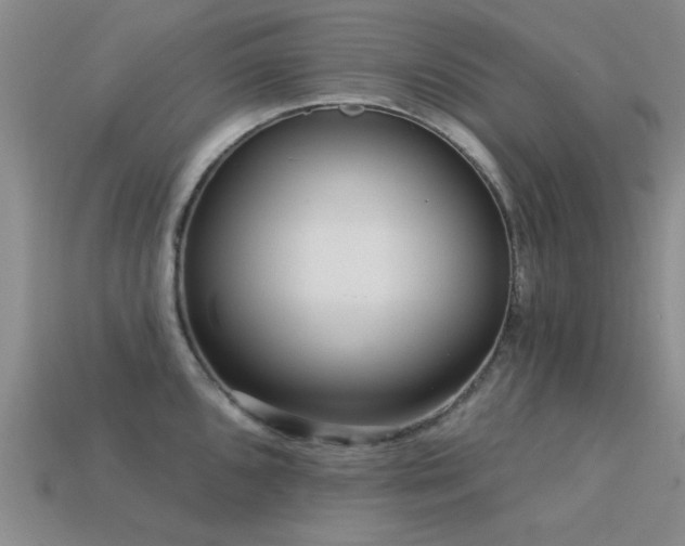 X0000113611096200909181414