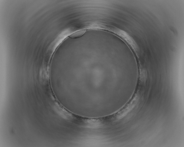 X0000113611097200909181414