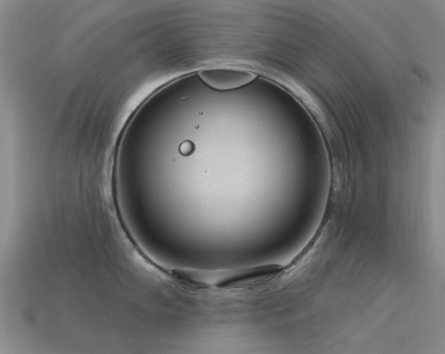 X0000113611102200909181414