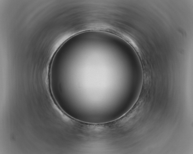 X0000113611103200909181414
