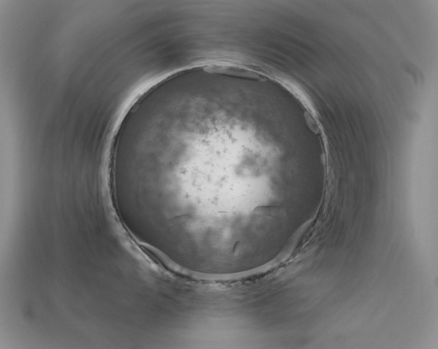 X0000113611104200909181414