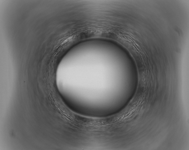 X0000113611105200909181413