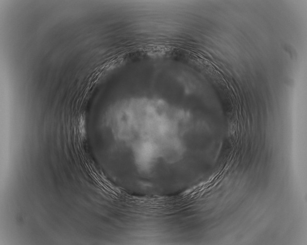 X0000113611106200909181413